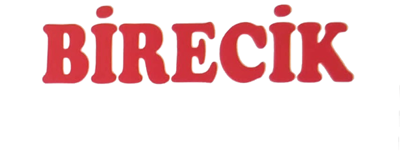 Birecik Oto Kurtarıcı